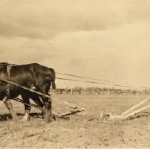 Omc1985.008.044 Image 600dpi